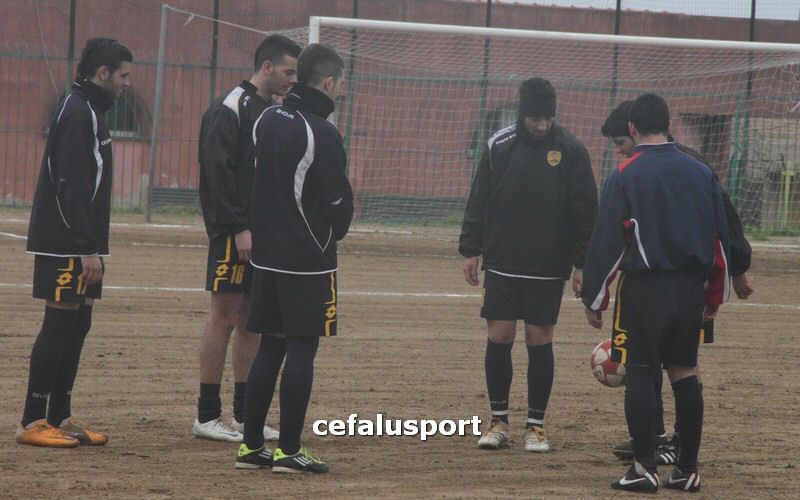 120310 stefanese 010y_tn.jpg